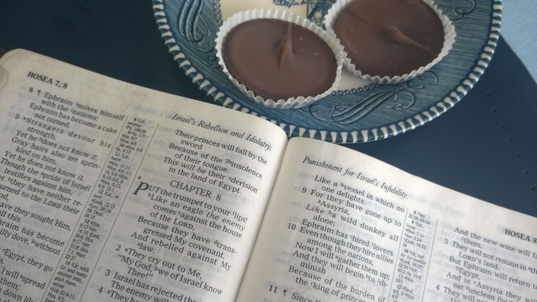 Hosea 8 Bible with Justins Dark Chocolate Organic Peanut Butter Cups